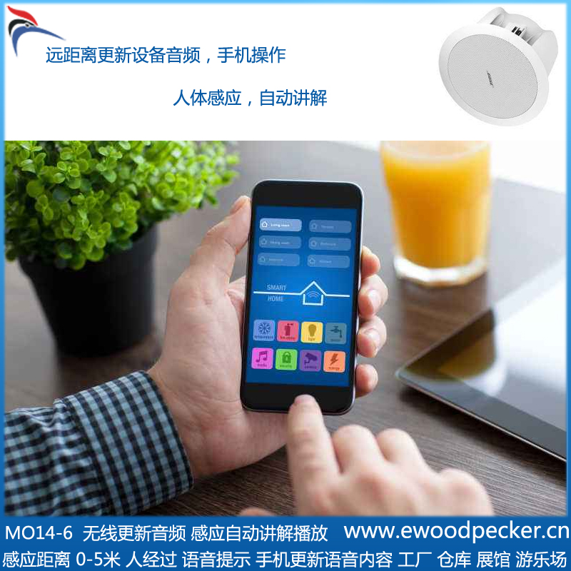 MO14-6 吸顶式 自动播放讲解 吊顶 音箱 手机蓝牙无线更新
