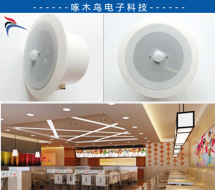MO14-5 吸顶式 自动播放讲解 吊顶 音箱 红外遥控
